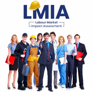 labour-market /wp-content/uploads/2021/09/labour-market-320x320.png
